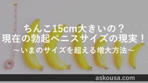 ちんこ 15cm|ちんこ15cmて大きいの？勃起ペニスサイズ15cmの現。